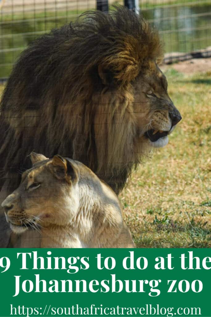 Johannesburg Zoo Things to Do | South Africa Travel Blog