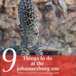 Johannesburg Zoo Things to do | South Africa Travel Blog