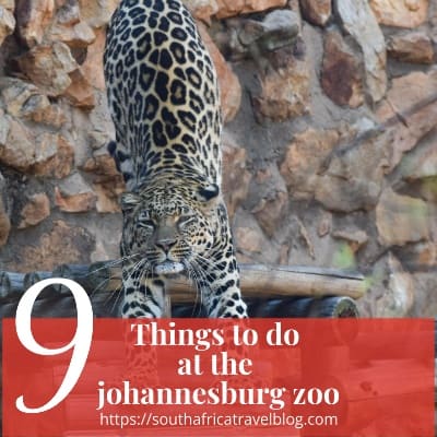 Johannesburg Zoo Things to do | South Africa Travel Blog