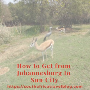 How to Get from Johannesburg to Sun City