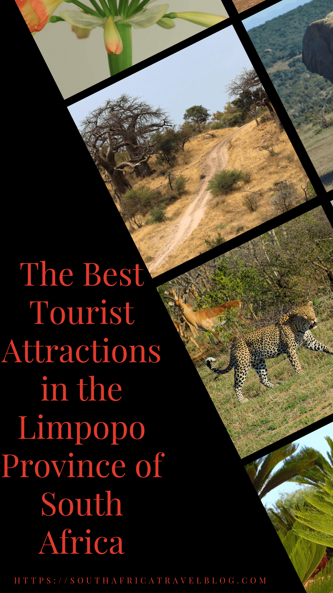 36 of The Best Tourist Attractions in Limpopo