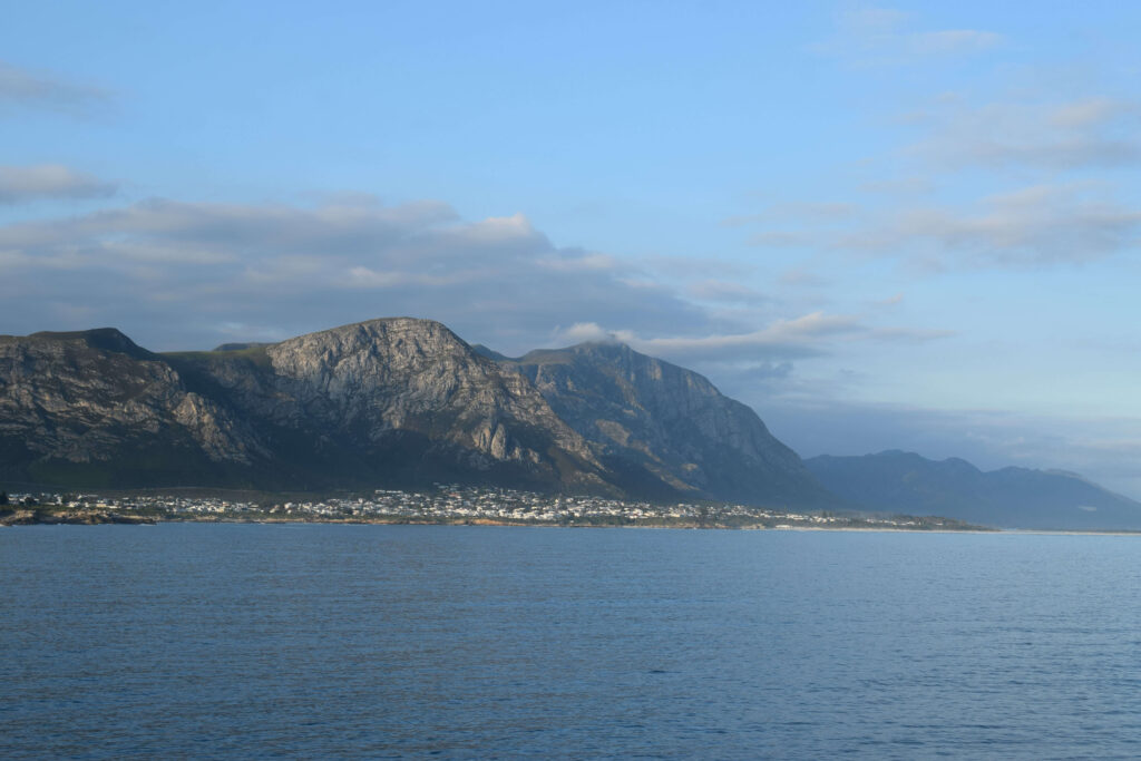 Hermanus - the perfect place for whale watching in South Africa