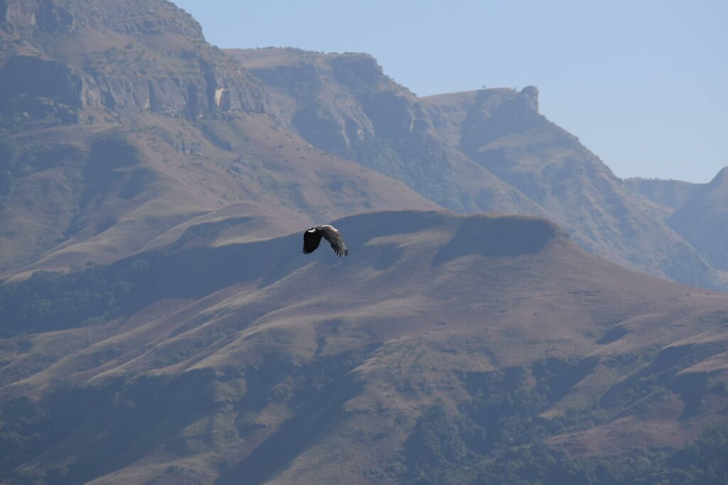 Drakensberg Mountains - a tourist attraction in KZN