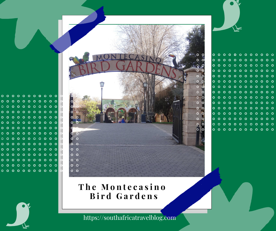 See an Amazing Variety of Birds at The Montecasino Bird Gardens - South ...
