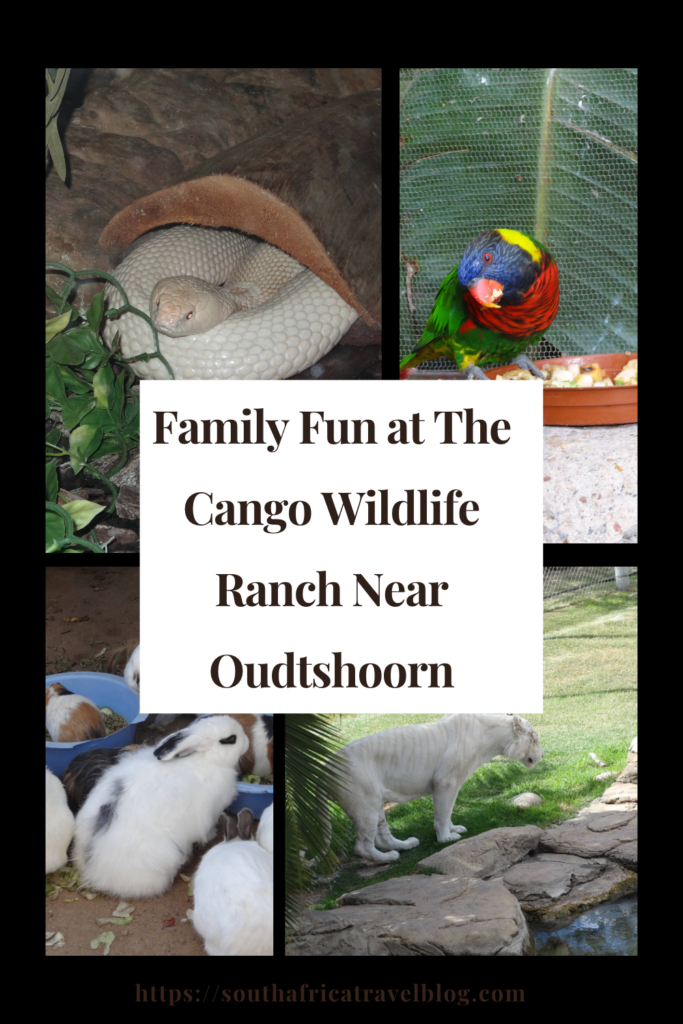 Cango Wildlife Ranch Pin 1