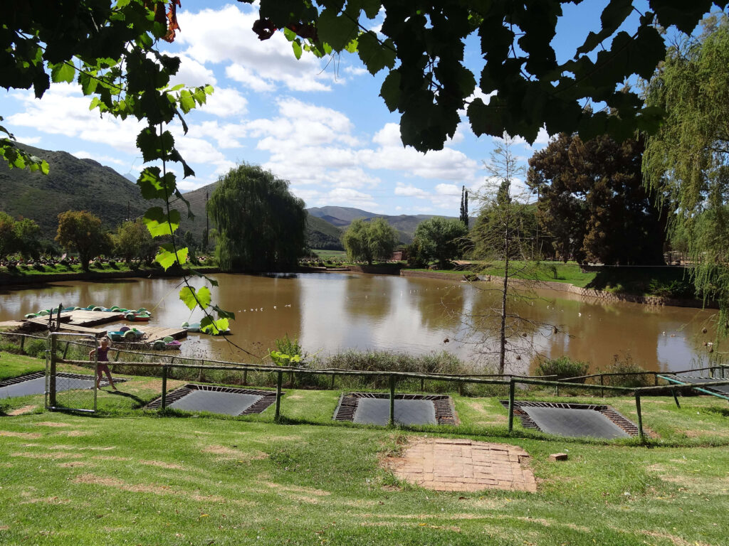 Wilgewandel Holiday Farm - one of the fun things to do in Oudtshoorn