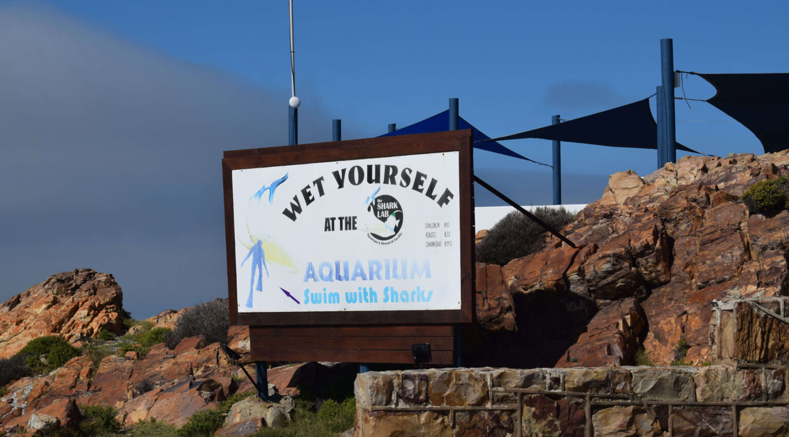 The Shark Lab in Mossel Bay