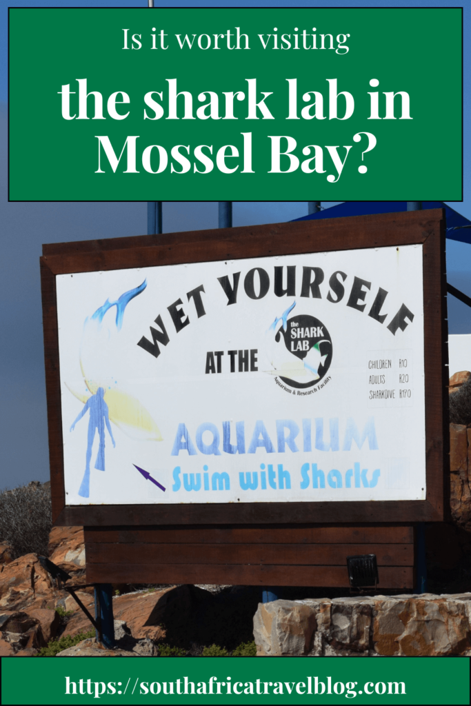 the shark lab in Mossel Bay Pin 1